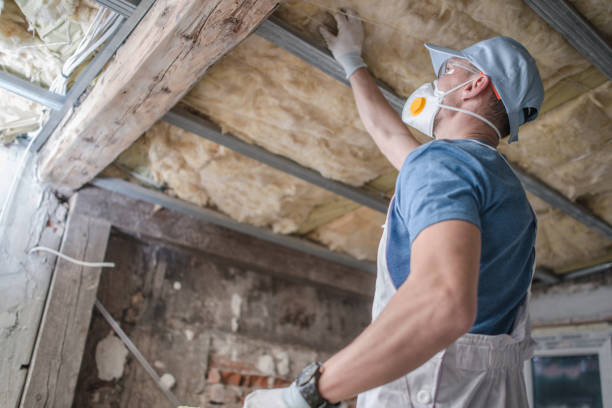Best Cellulose Insulation in Bellmore, NY